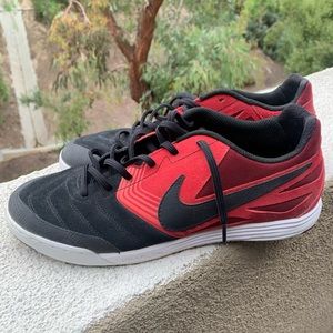 Nike SB lunar gato size 10